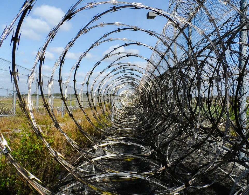 Concertinas militaires posées en rouleaux au sol