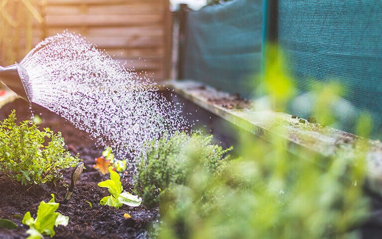 Les équipements du jardin sont disponibles sur le site d'agrifournitures.fr